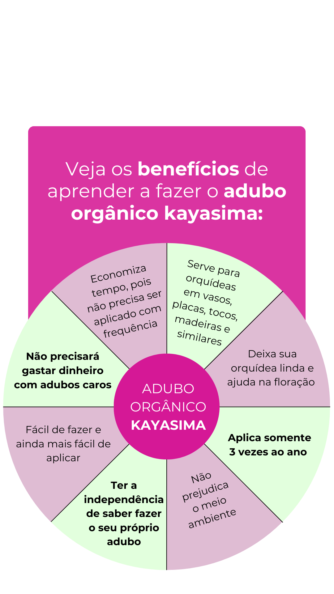 info-2-1.png