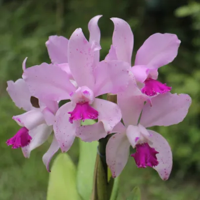 11_1.webp